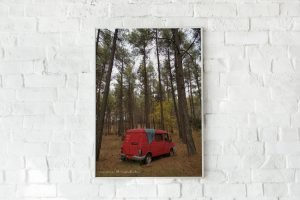 Pine Trees and a red van high quality 1